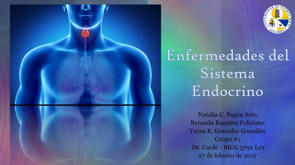 principales enfermedades del sistema endocrino diabetes problemas a la tiroides